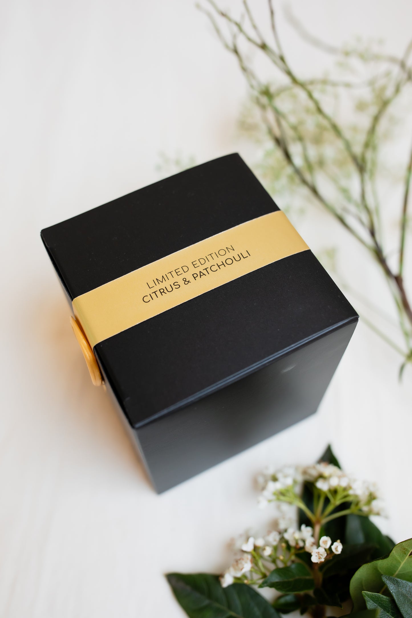 The Humble Bee Limited Edition Citrus & Patchouli
